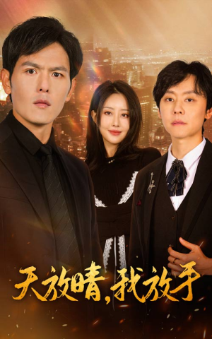 天放晴我放手（35集）