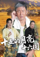 十五的月亮十六圆（60集）