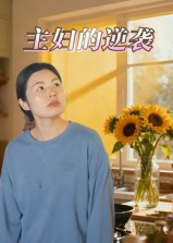 主妇的逆袭（28集）