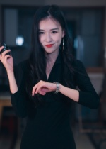 制裁者的游戏（25集）