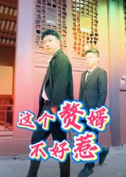 这个赘婿不好惹（27集）