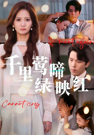 千里莺啼绿映红（63集）罗嘉麒&刘美娜
