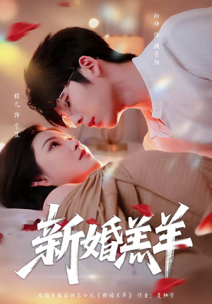 新婚羔羊（89集）向帅＆程儿