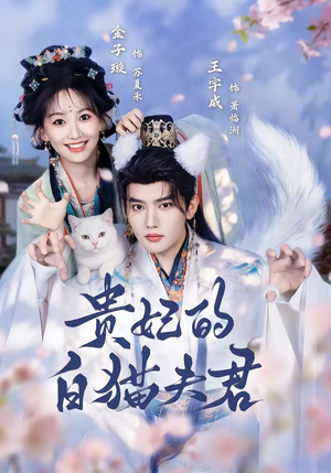 贵妃的白猫夫君（81集）王宇威＆金子璇