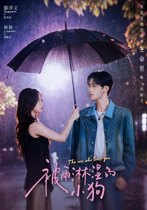 被雨淋湿的小狗（80集）林秋一＆滕泽文（1080P）