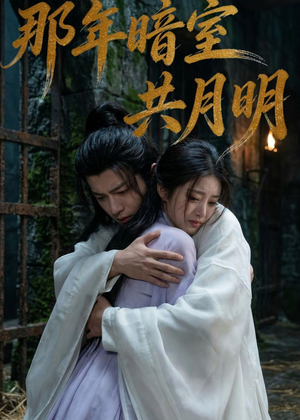 那年暗室共月明（73集）