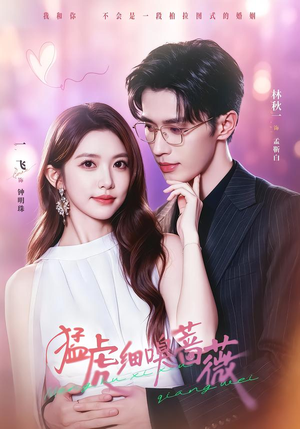 猛虎细嗅蔷薇（60集）一飞＆林秋一（1080P）