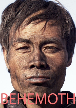 悲兮魔兽 (2015)