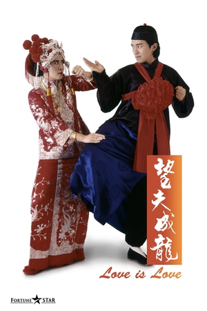 望夫成龙 (1990)