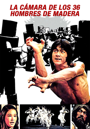 少林木人巷 (1976)