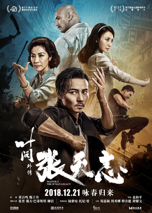 叶问外传：张天志 (2018)