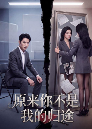 原来你不是我的归途（70集）AI短剧