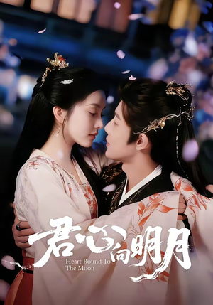 君心向明月（60集）沈浩晨＆梨小娜