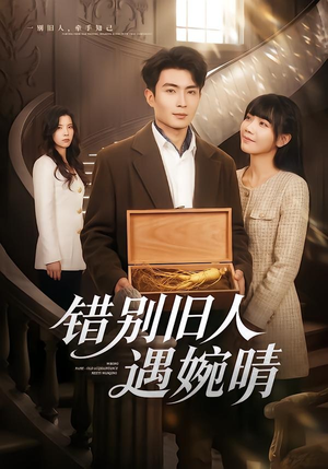 错别旧人遇婉晴（79集）