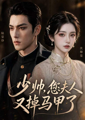 少帅，您夫人又掉马甲了（41集）