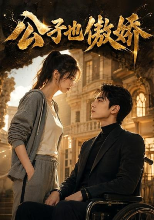 公子也傲娇（31集）