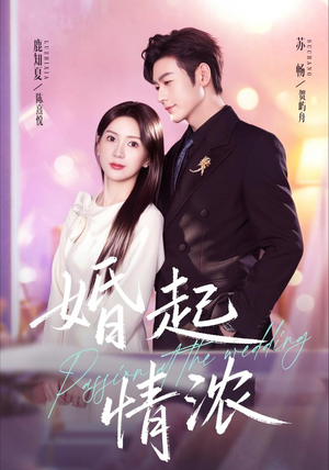 婚起情浓（99集）苏畅＆鹿知夏（1080P）