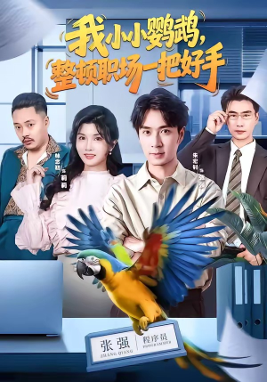 我小小鹦鹉，整顿职场一把好手（62集）朱宏钊＆林念初＆周伟＆负辰鑫