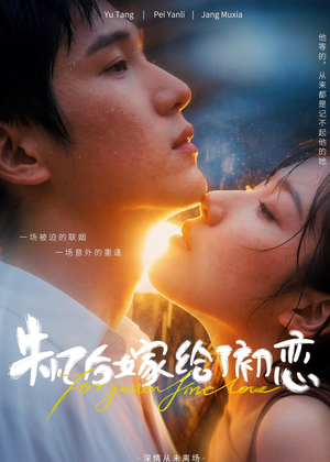 失忆后嫁给了初恋（10集）
