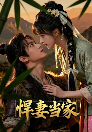 悍妻当家（52集）