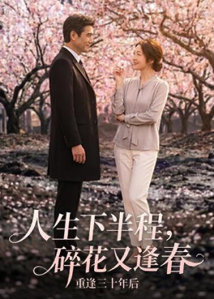 人生下半程，碎花又逢春（64集）AI短剧