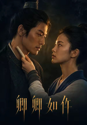 卿卿如仵（48集）