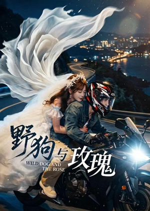 野狗与玫瑰（30集）