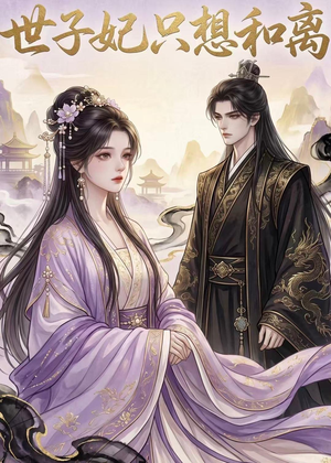 世子妃只想和离（33集）