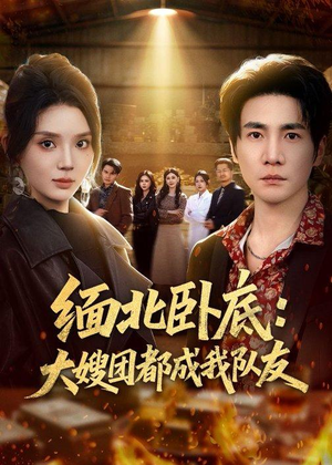 缅北卧底：大嫂团都成我队友（71集）李想＆文静