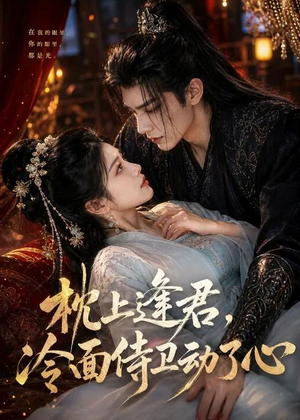 枕上逢君，冷面侍卫动了心（92集）