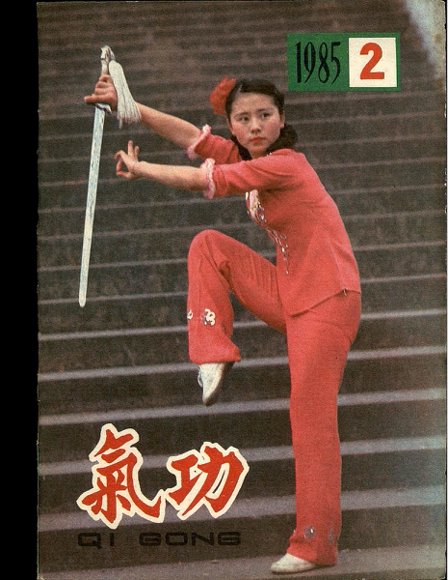 《气功》1985第2期.pdf