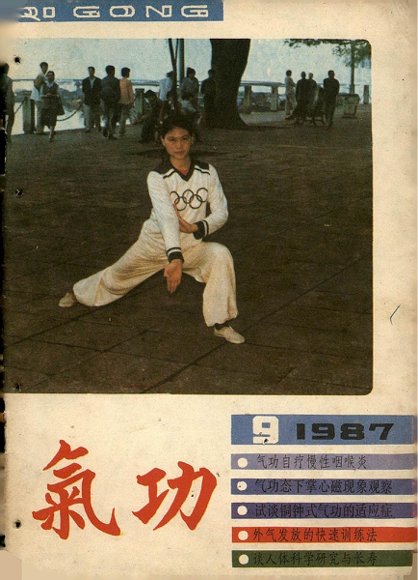 《气功》1987第9期.pdf