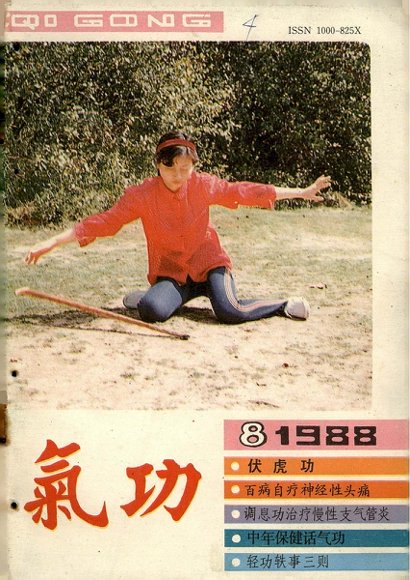 《气功》1988第8期.pdf