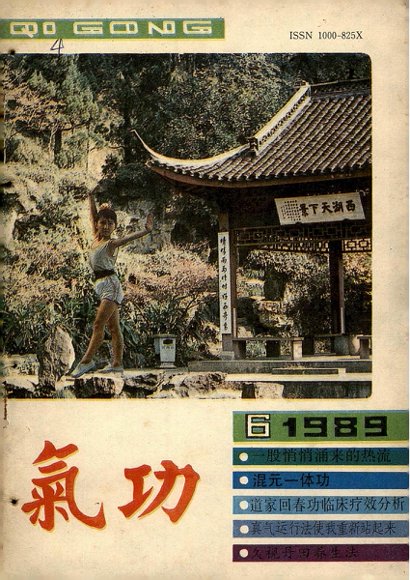 《气功》1989第6期.pdf