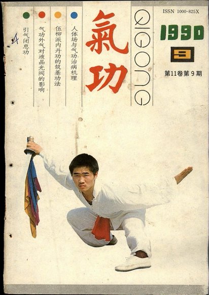 《气功》1990第9期.pdf