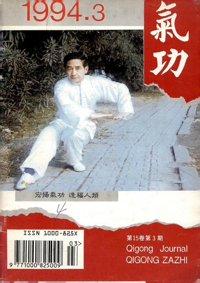 《气功》1994第3期.pdf