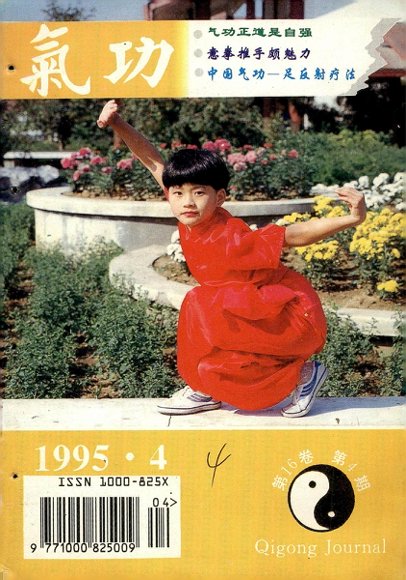 《气功》1995第4期.pdf