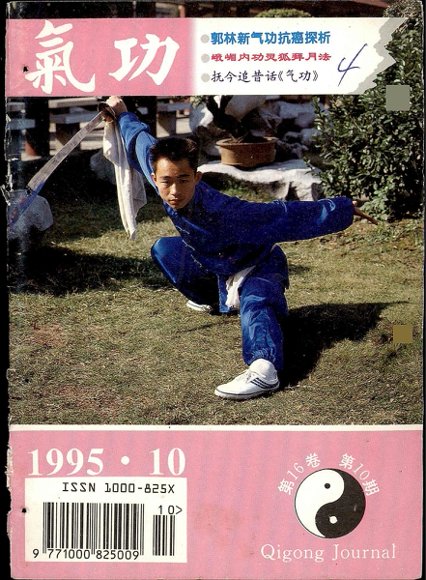 《气功》1995第10期.pdf