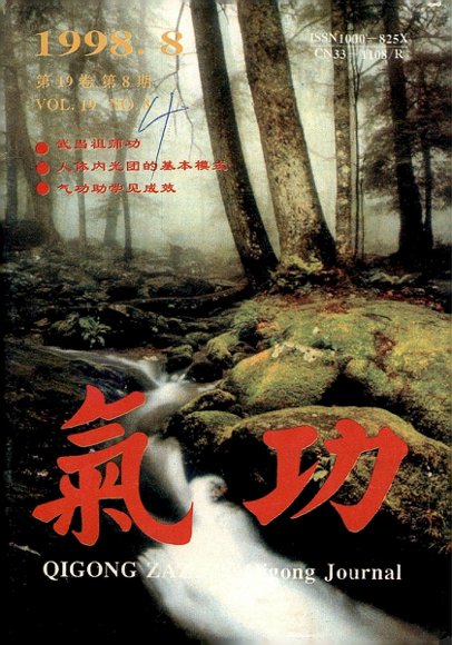 《气功》1998第8期.pdf