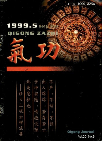 《气功》1999第5期.pdf
