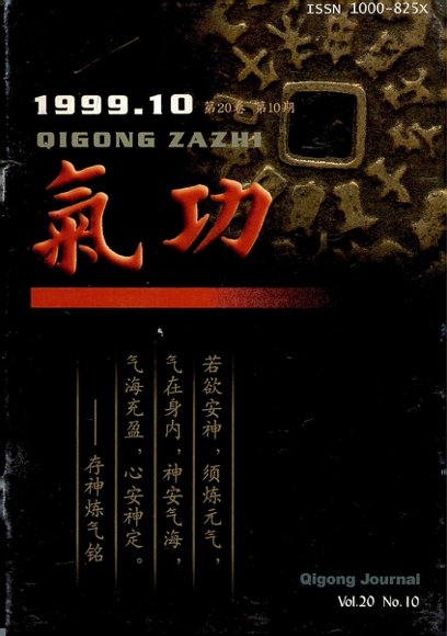 《气功》1999第10期.pdf
