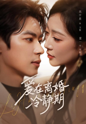 爱在离婚冷静期（73集）董一＆姚宇晨