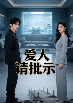 爱人请批示（49集）AI短剧