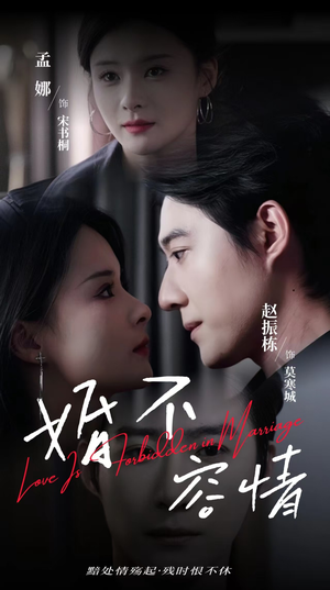 婚不容情（89集）赵振栋＆孟娜